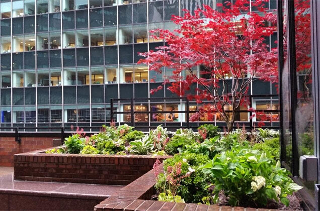 Trump building garden terraces