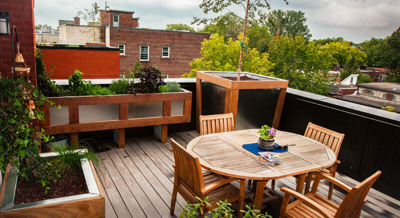 Urban rooftop garden