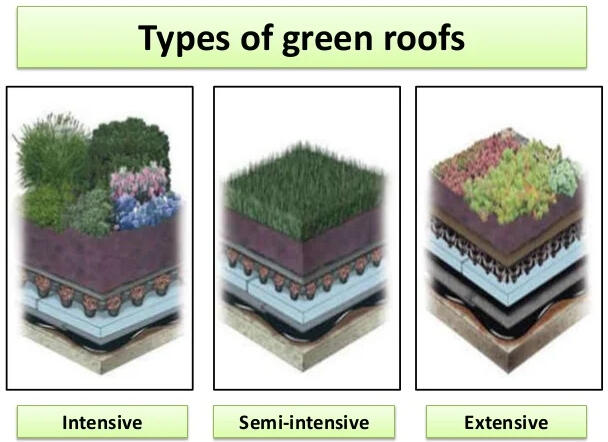 Types of green roofs