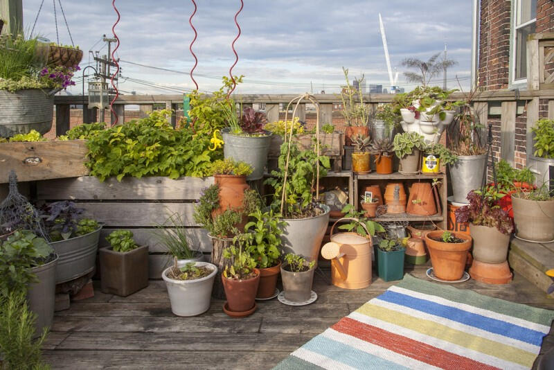 Keep it simple rooftop garden with pots