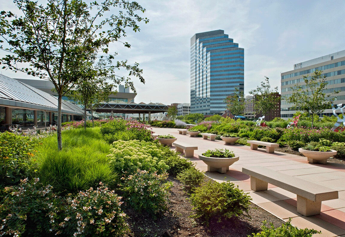 Intensive green roof