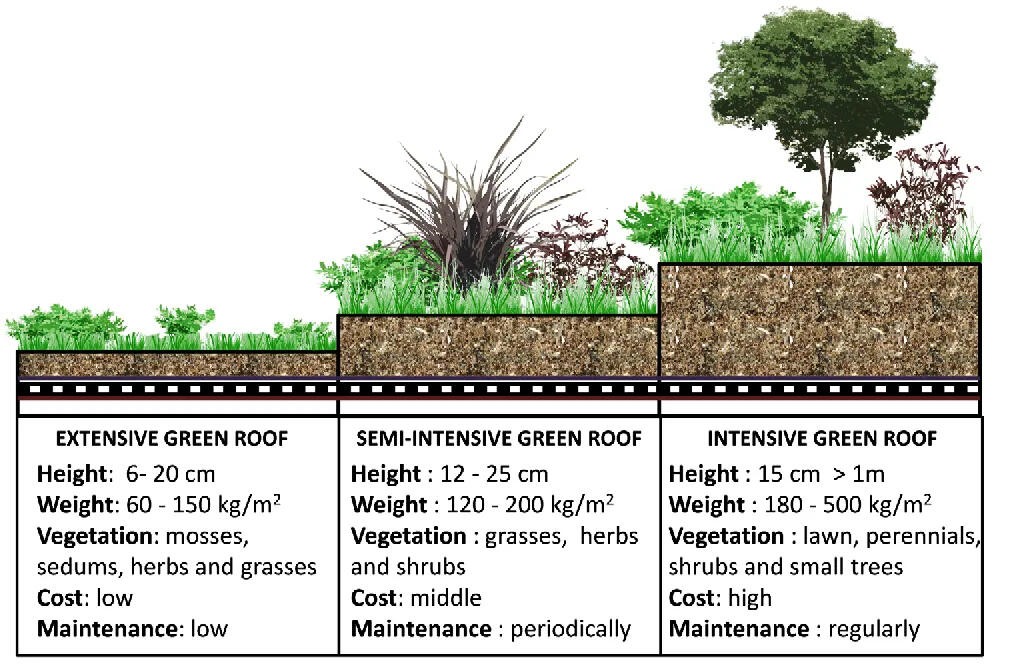 Green roof load capacity