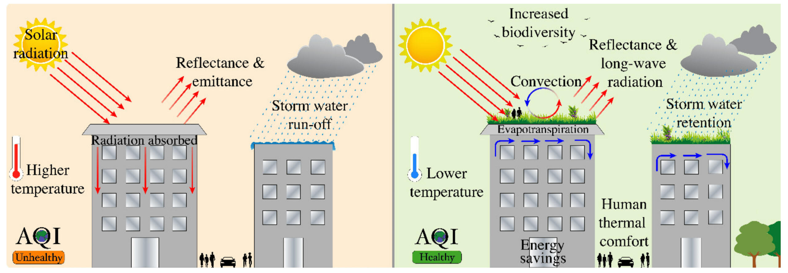 Green roofs and climate regulating properties