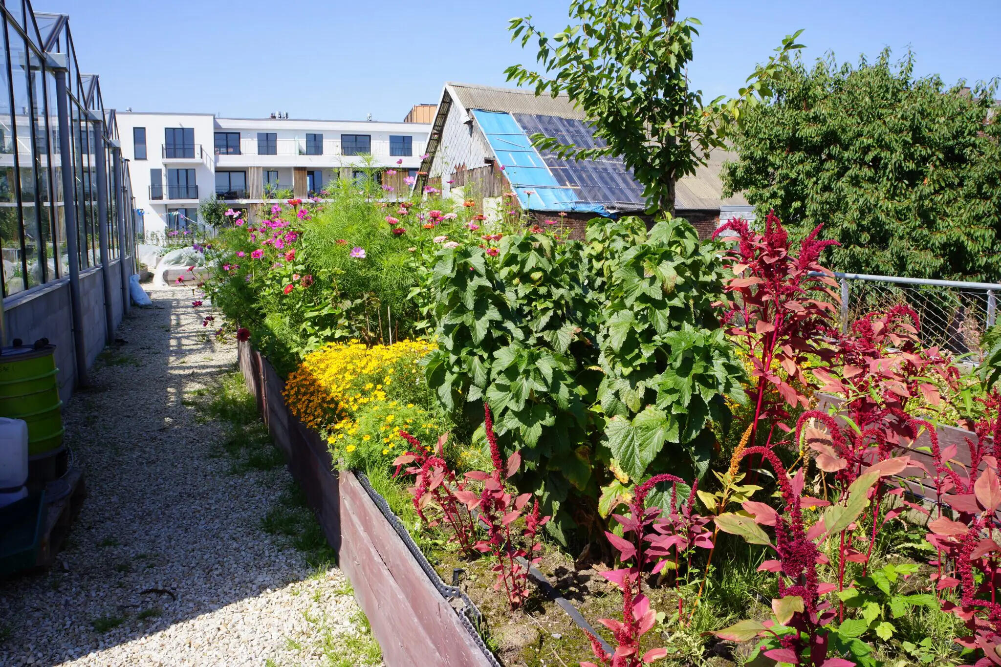 Community style edible roof garden
