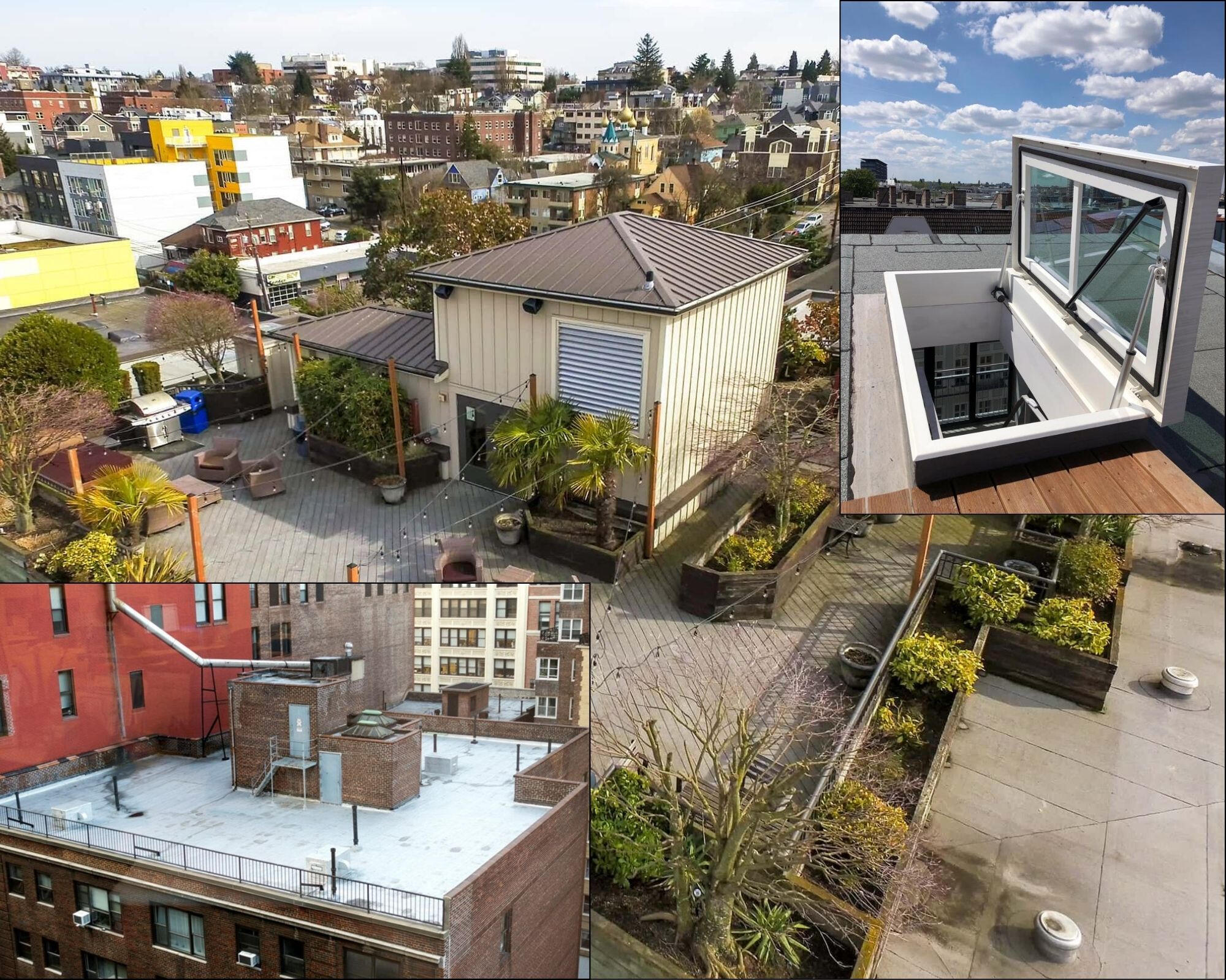 Roof access types