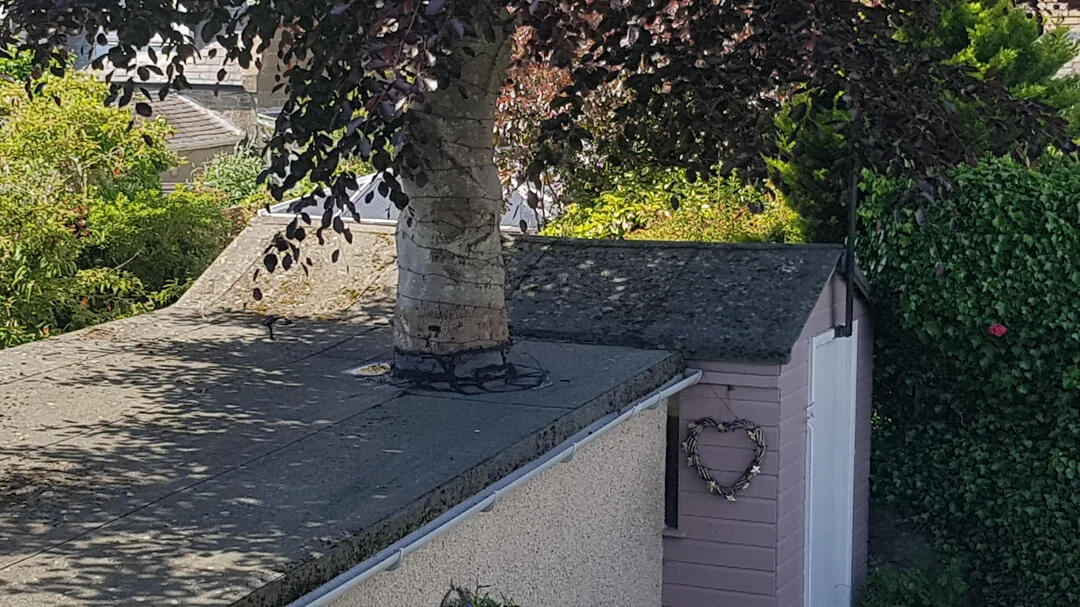 Tree rooftop garden