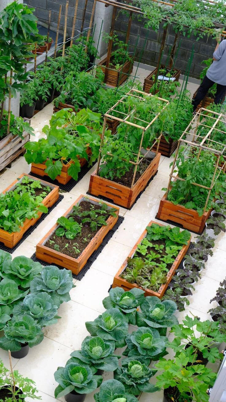 Simple edible container rooftop garden option
