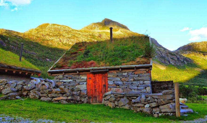 Traditional Scandinavian green roof