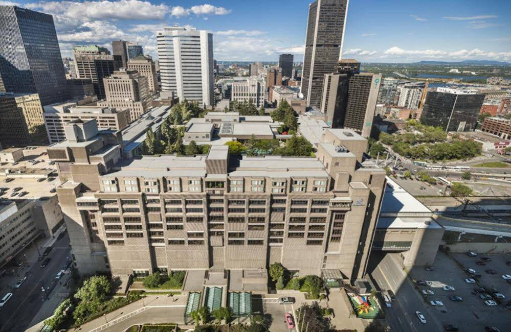 Hilton Hotel roof garden